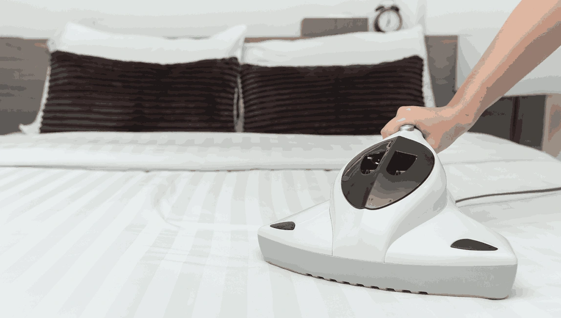 Professional Mattress Cleaning Melton